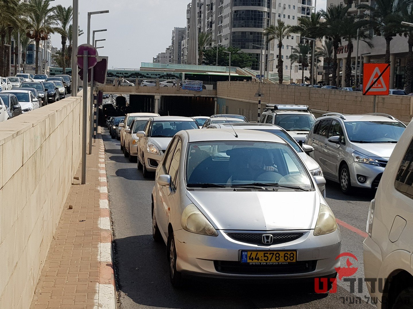 צילום: עופר אשטוקר - אשדוד נט