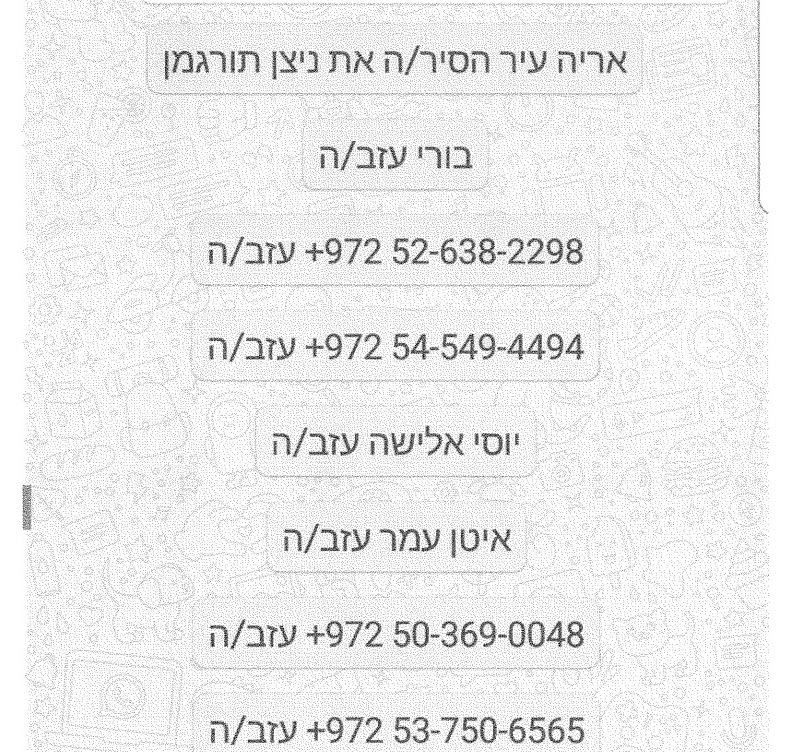 צילום מסך מהבקשה שהוגשה לבית המשפט