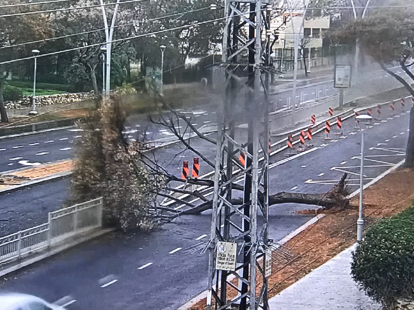 עץ נפל וחסם את שדרות הרצל