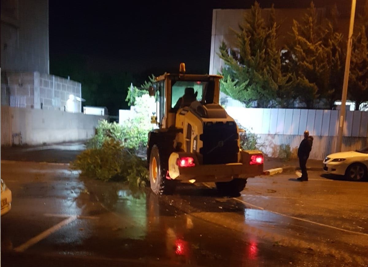 צילום: עיריית אשדוד