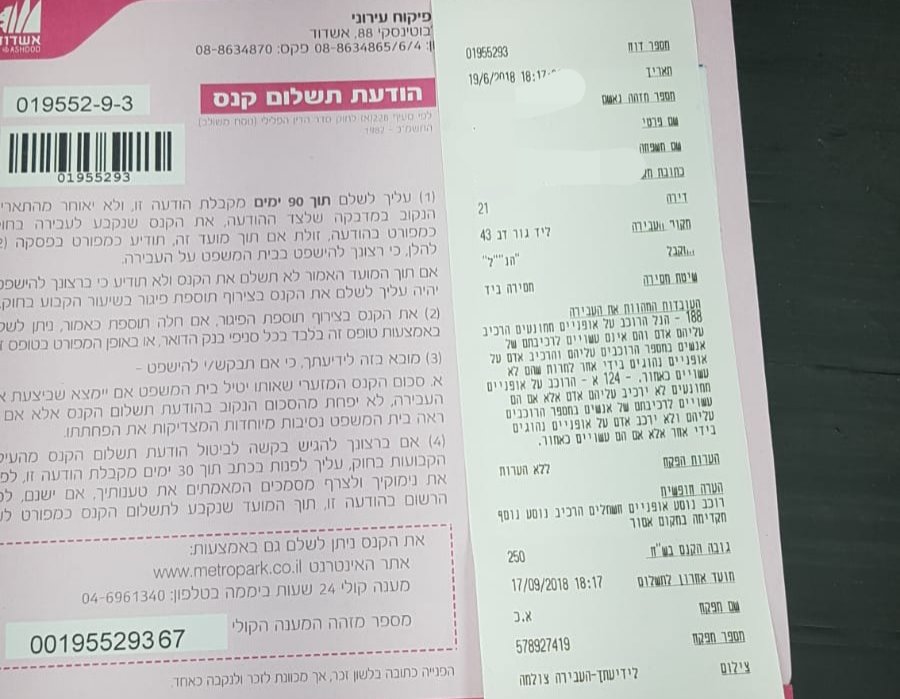 צילום: האחים שמחי