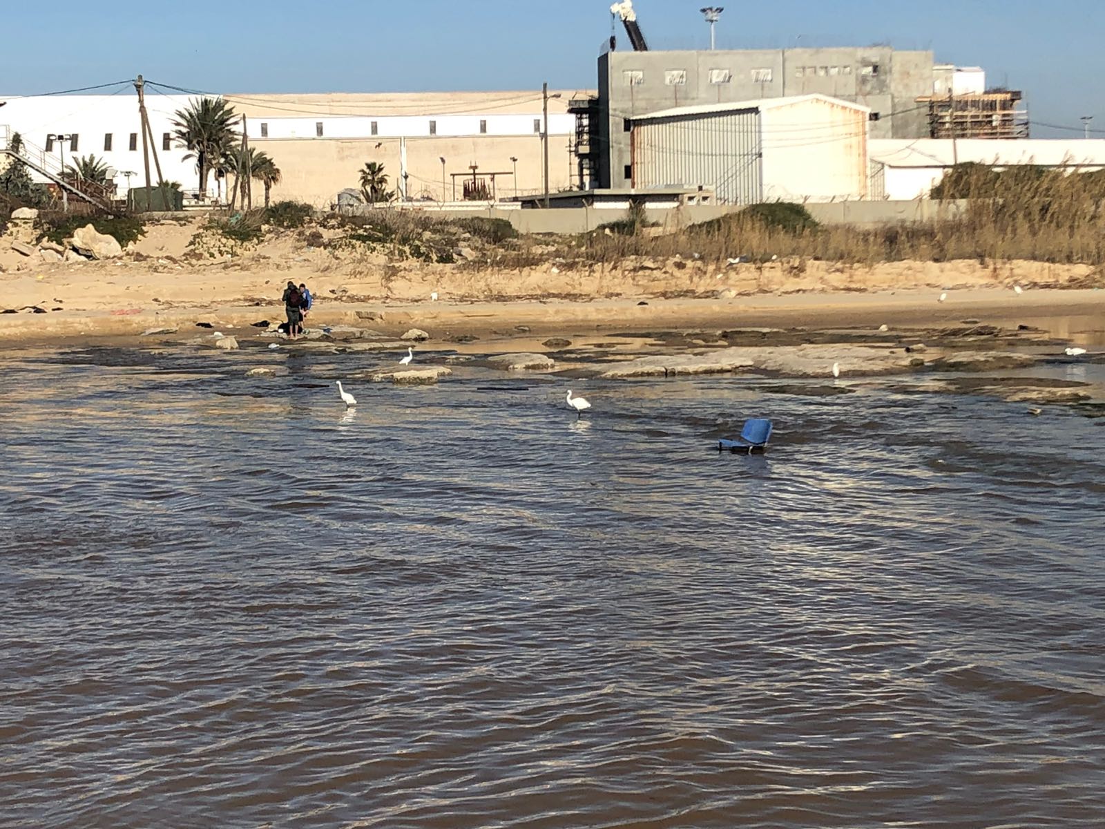 קרדיט: עיריית אשדוד