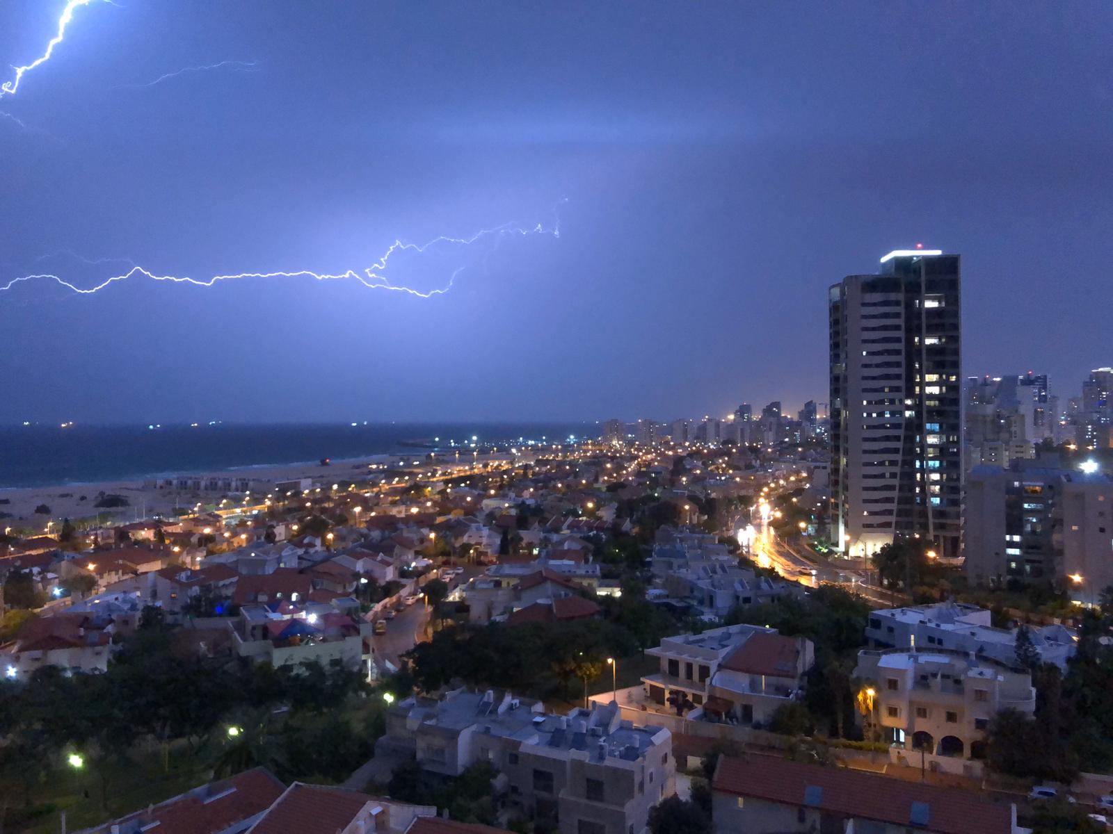 צילום: שמואל דוד