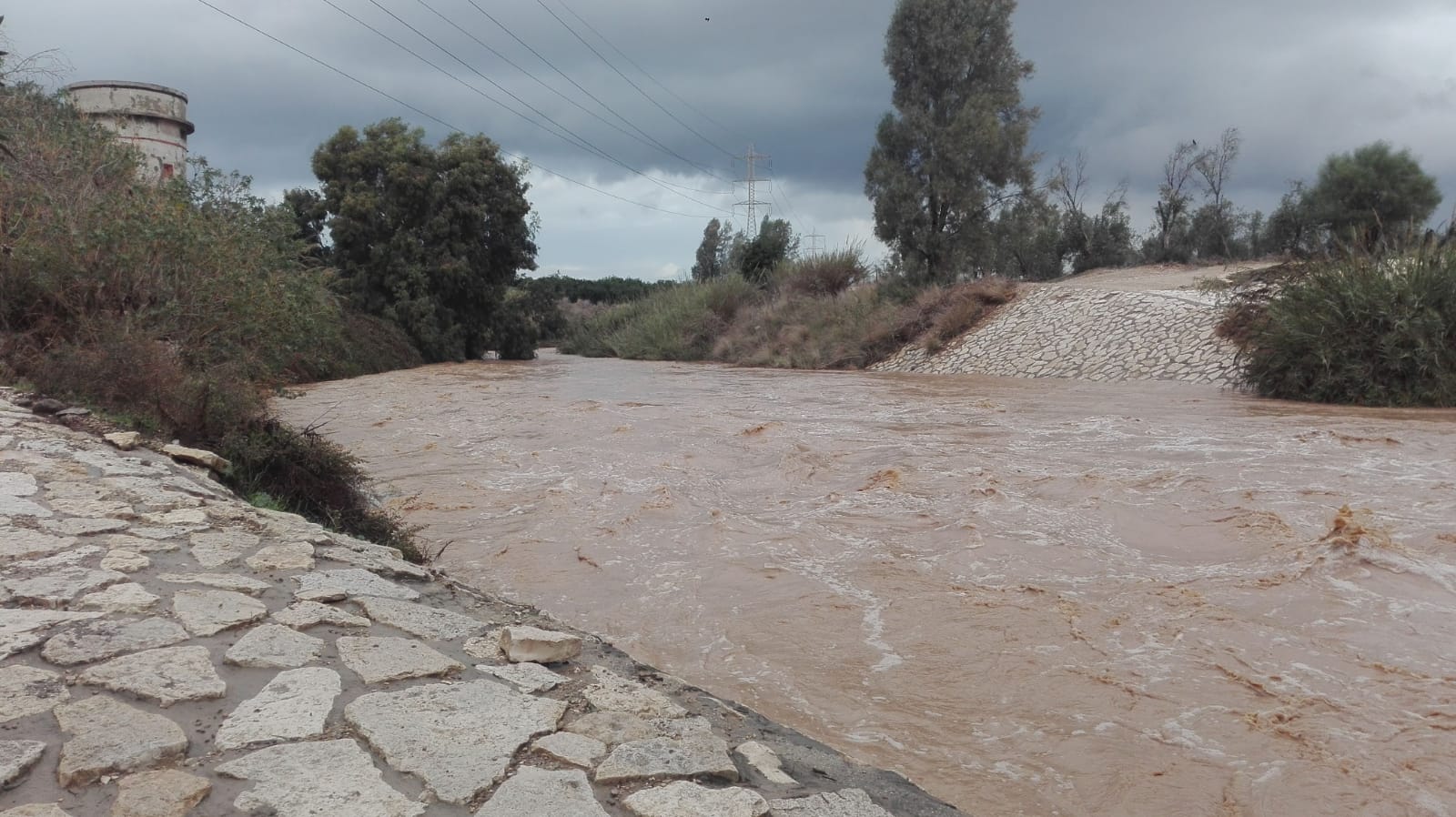 צילום: שמואל סרדינס