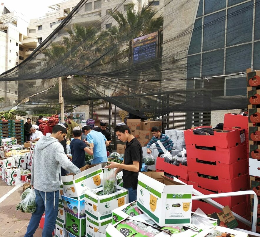 צילום: אבישי אסולין