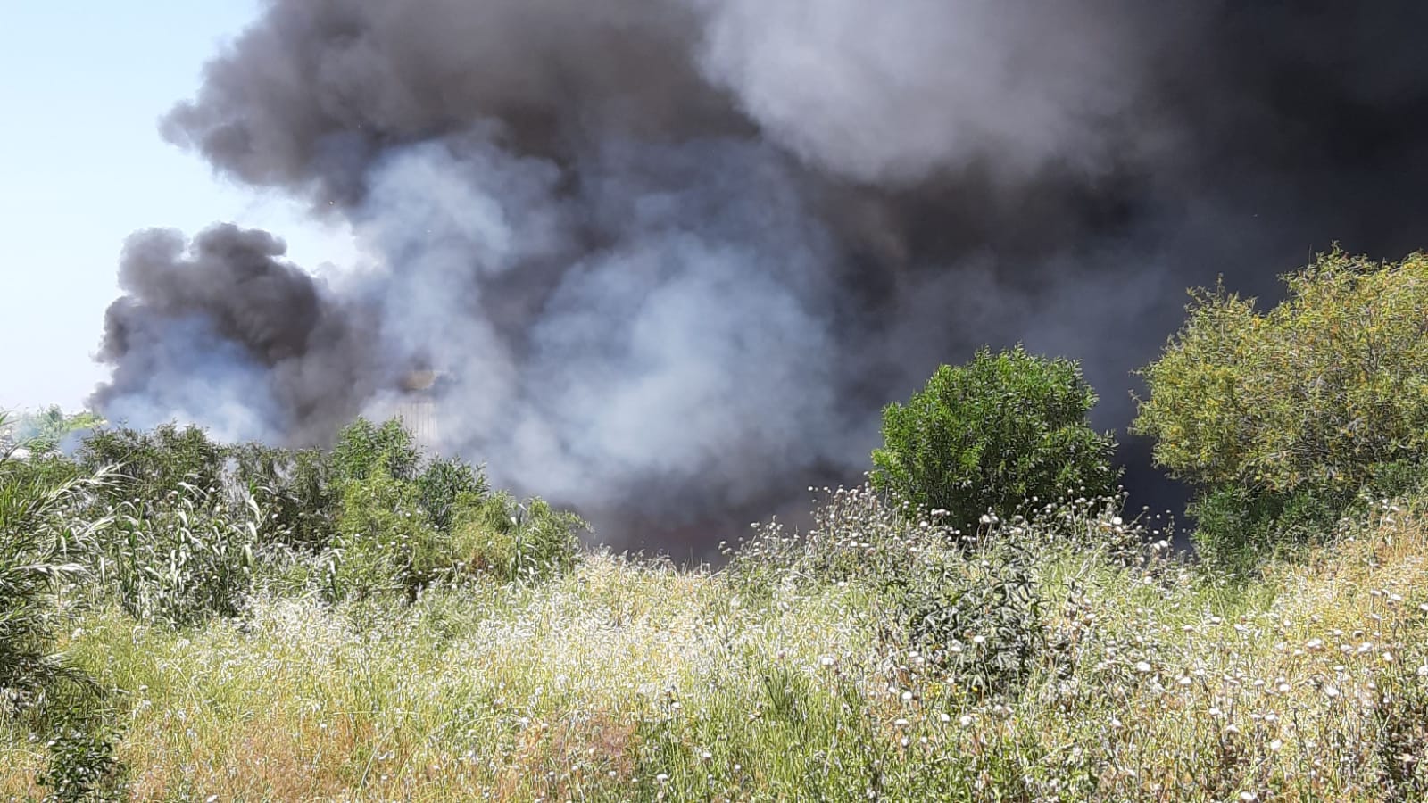 צילום: רובי נח