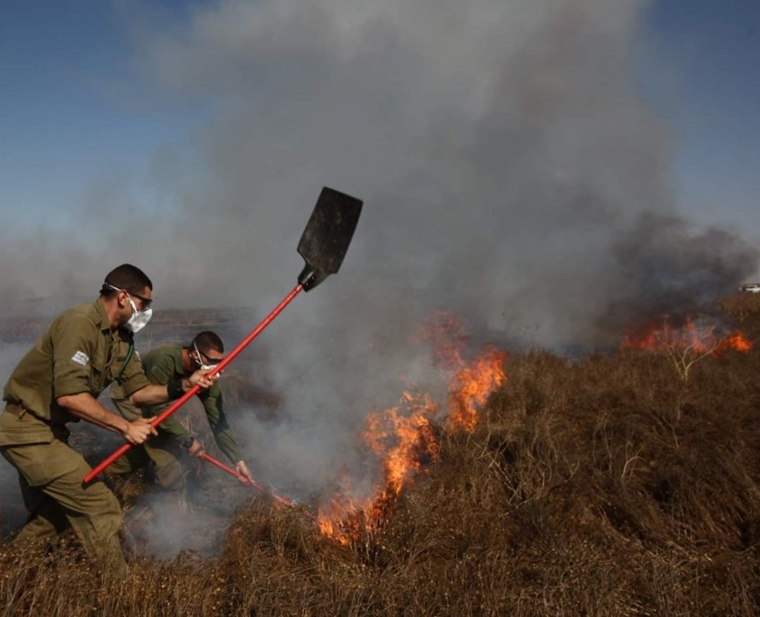 דוברות כב&quot;ה מחוז דרום