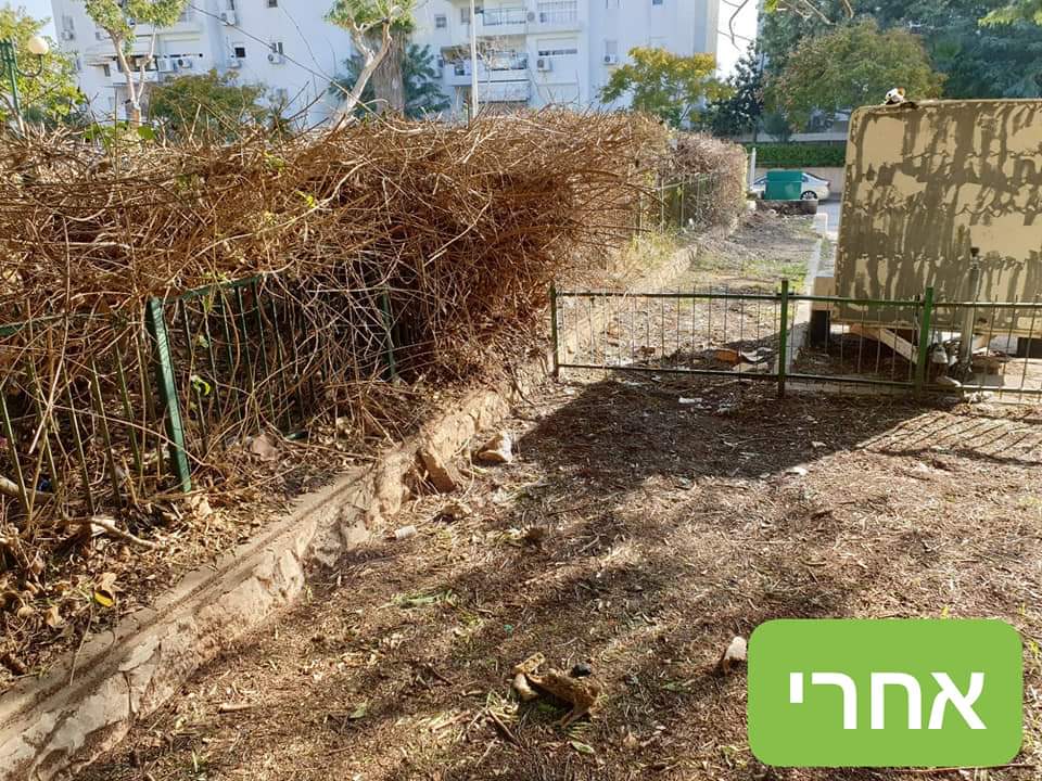 צילום: עיריית אשדוד