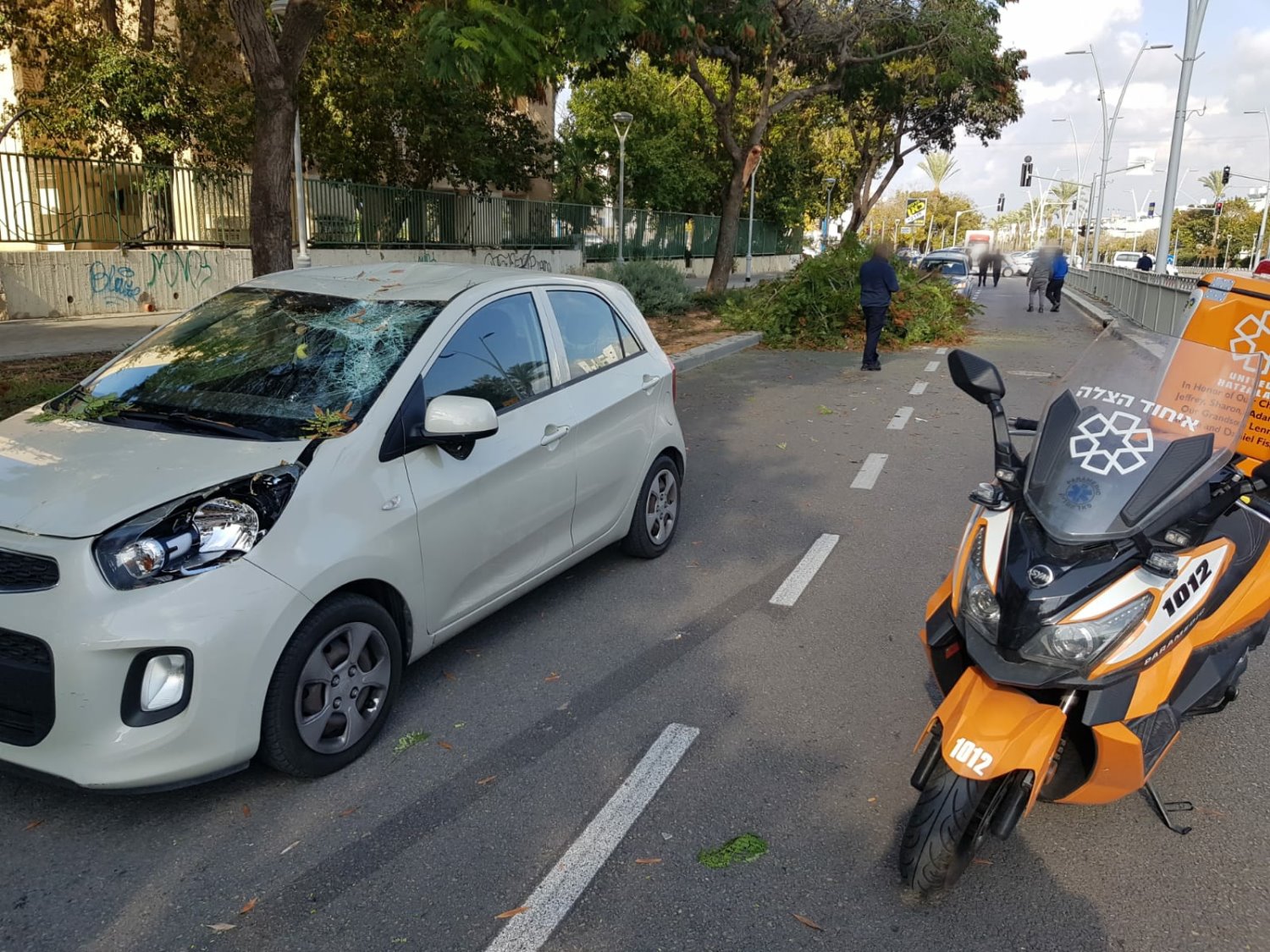 צילום: איחוד הצלה