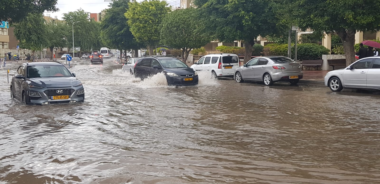 צילום: עופר אשטוקר