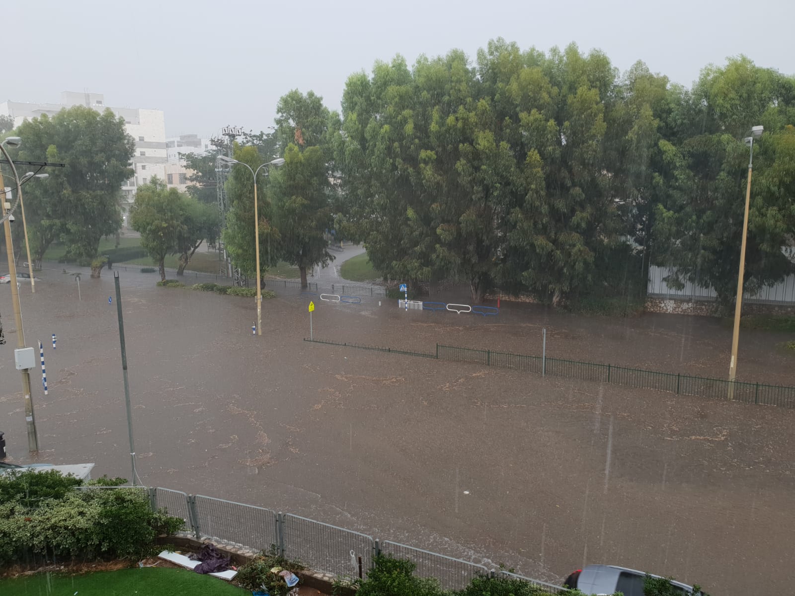 צילום: אברהם קוזלובסקי