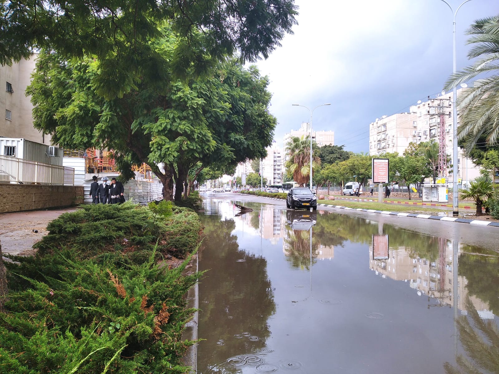 צילום: שמואל סרדינס, אשדוד נט