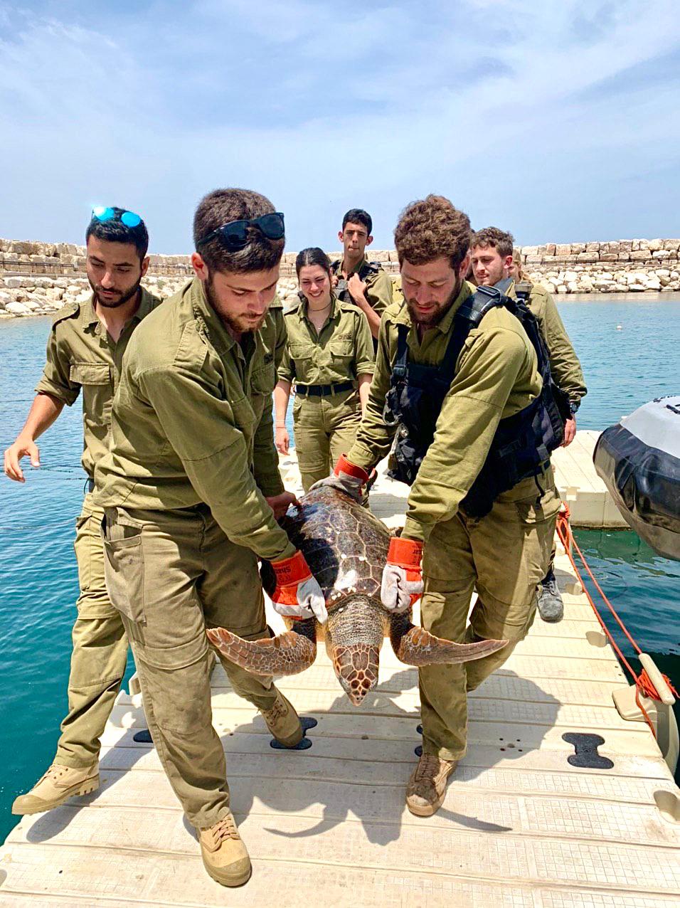 צילום: רשות הטבע והגנים