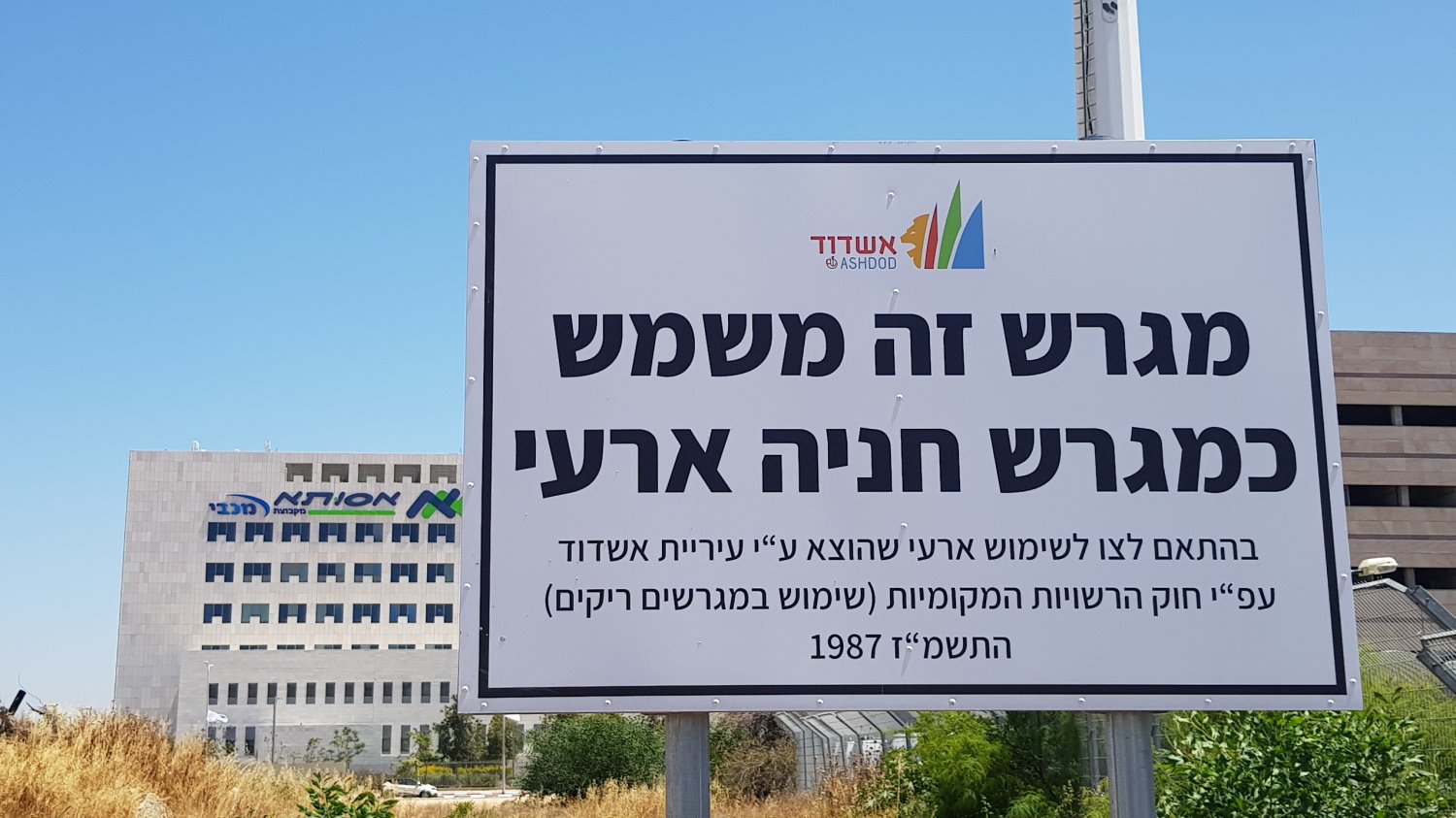 צילום: עופר אשטוקר