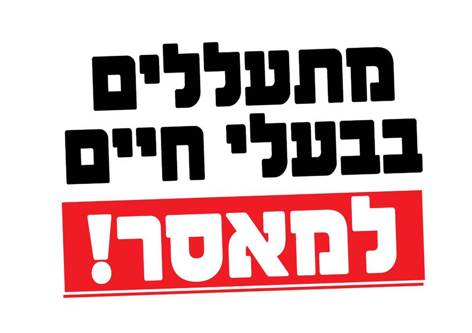 הפגנה נגד אירוע ההתעללות החמור שהביא למותה של כלבה באשדוד