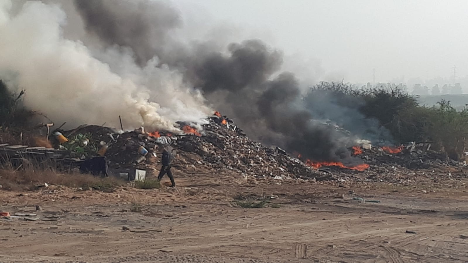 צילום: דיאנה נמולקין