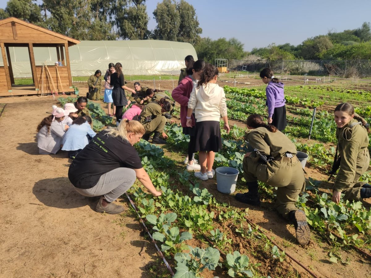 צילום: החווה החקלאית