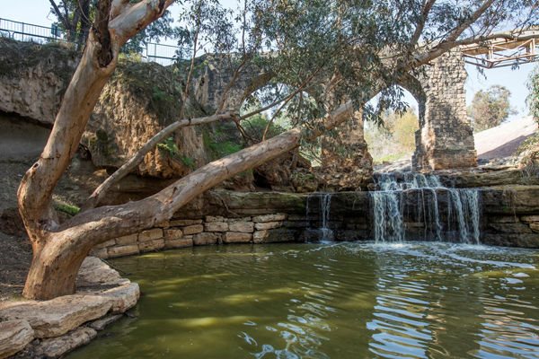 סוכנות ג'ני צילומים קק"ל נחל חרוד