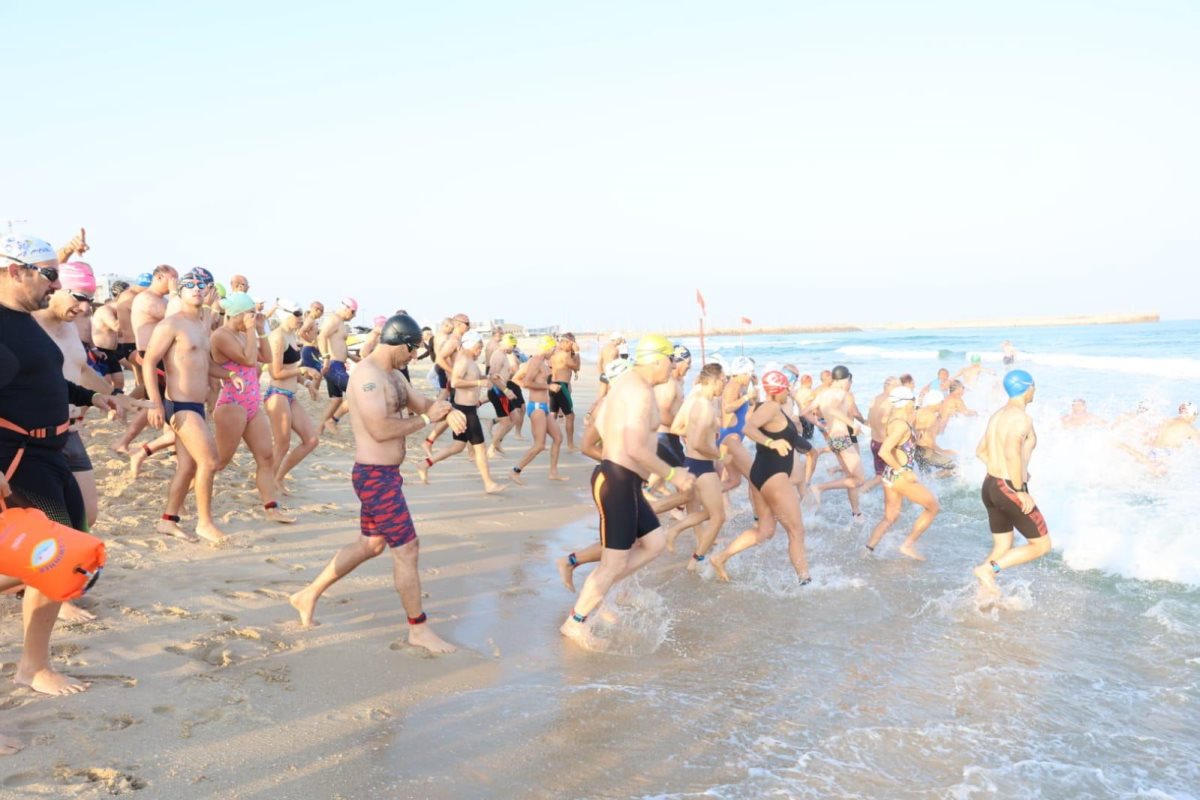 קרדיט: ניר קידר, באדיבות שוונג