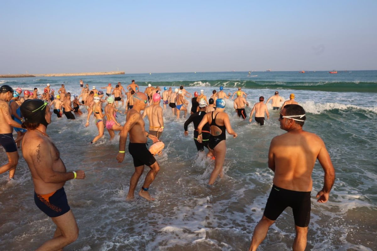 קרדיט: ניר קידר, באדיבות שוונג