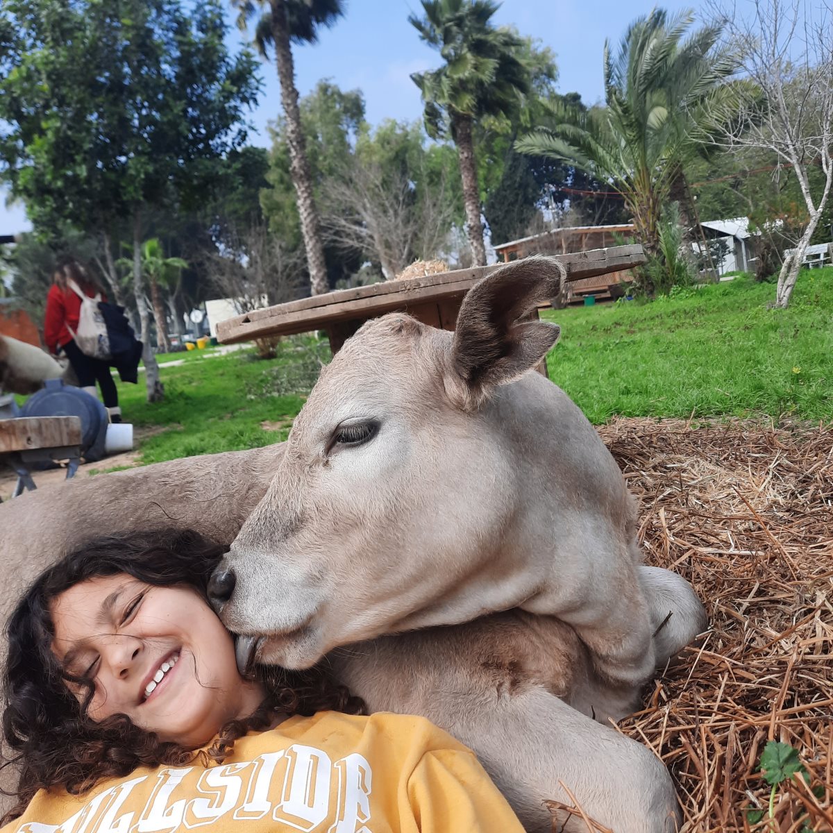 יש אחו כפר סילבר