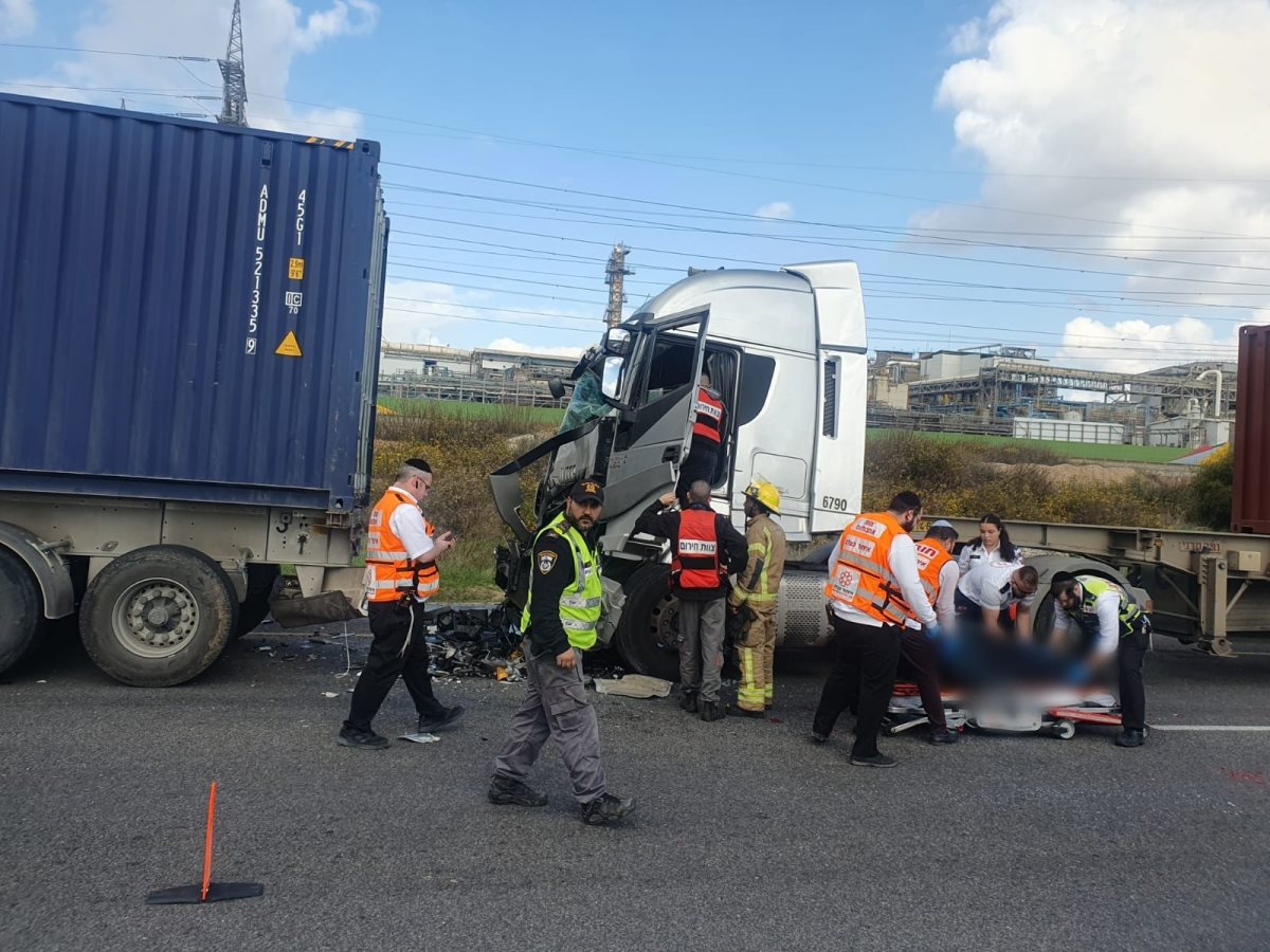 צילום: דוברות איחוד הצלה