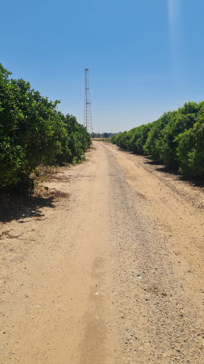 חלק מהמסלול שאיליה רץ בו היום לזכר הנופלים