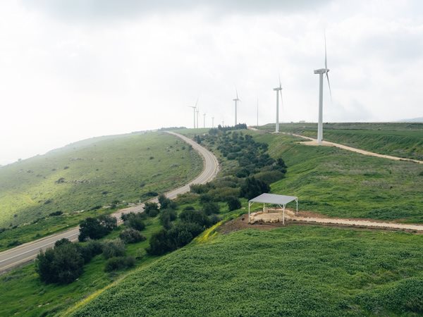 צילום: עידן ארד