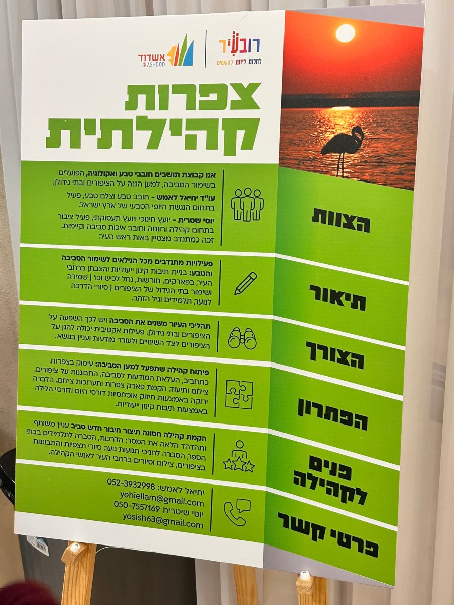 עיריית אשדוד