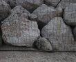 אהבת חינם באשדוד: צבת ים חומה ניצלה בזכות תושייתם של סורקי החוף 