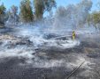 צילום מתנאל בושרי דוברות כב"ה דרום