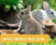 הכירו את כל הסיבות המרכזיות בגינן אנשים רבים בוחרים לשלב חיות מחמד חדשות בדירתם - מנשה בטיטו מצביע על מס יתרונות בגידול בעלי חיים 