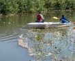 הזיהום בנחל לכיש - אלפי דגי בורי ואחרים מתים צפים במי הנחל זה היום השלישי (תמונות ווידאו)