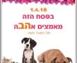 "גם אני רוצה בית חם": הפנינג אימוץ כלבים וחתולים